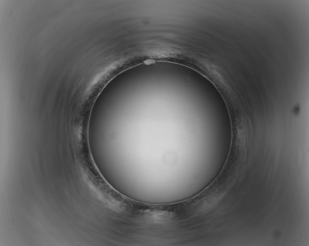 X0000116760539200912241144