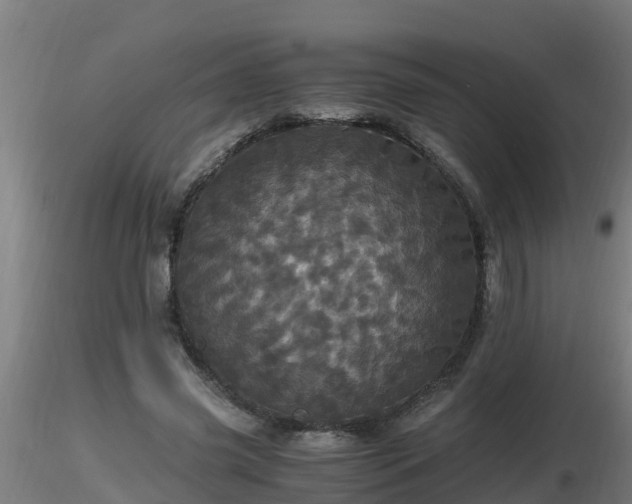 X0000116760541200912241144