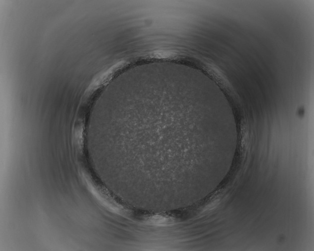 X0000116760542200912241144