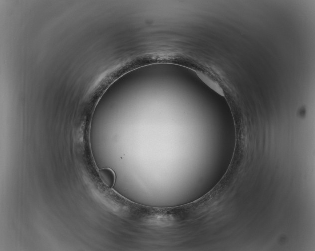 X0000116760543200912241144
