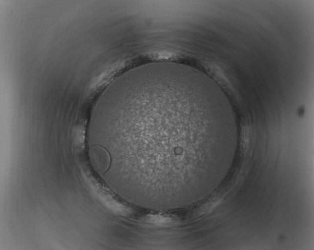 X0000116760545200912241144