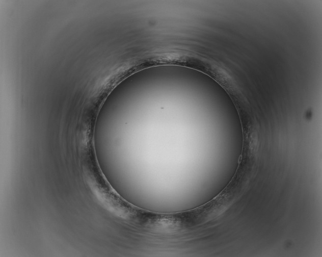 X0000116760546200912241144