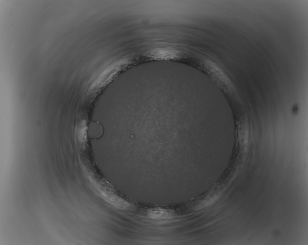 X0000116760549200912241144