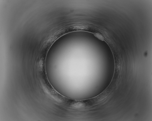 X0000116760551200912241145