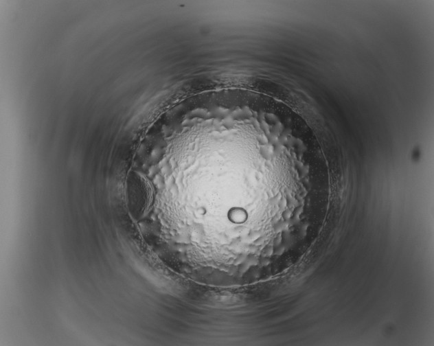 X0000116760553200912241145