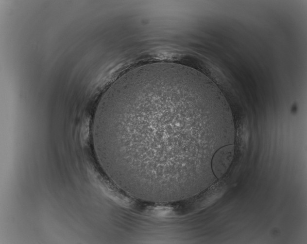 X0000116760554200912241145