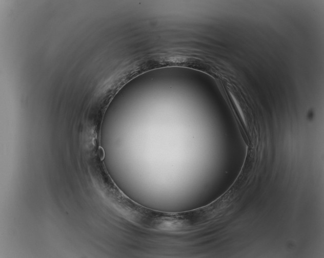 X0000116760555200912241145