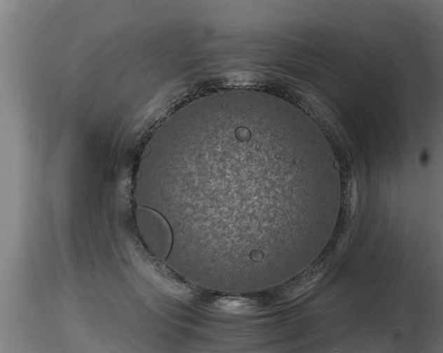 X0000116760557200912241145