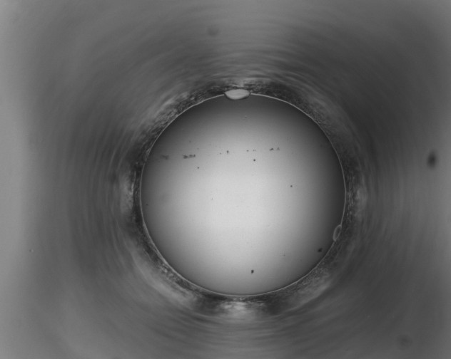 X0000116760558200912241145