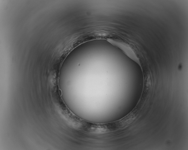 X0000116760559200912241145
