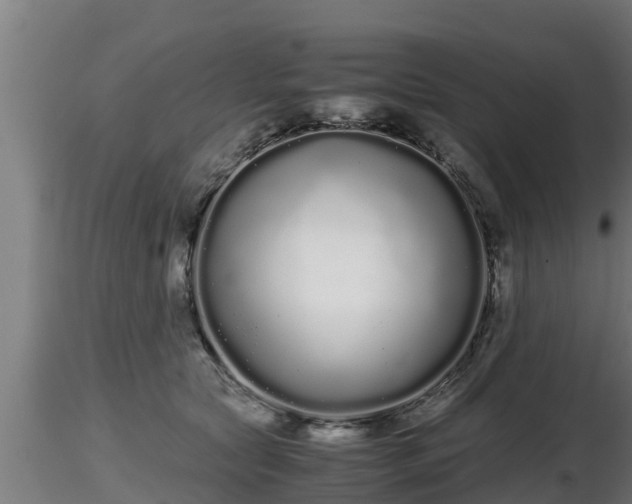 X0000116760561200912241145