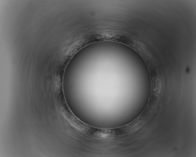 X0000116760563200912241145