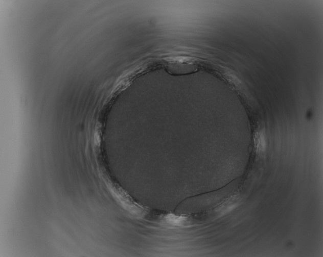 X0000116760570200912241145