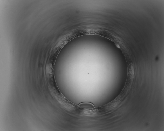 X0000116760571200912241145