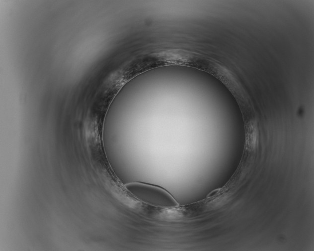 X0000116760573200912241145