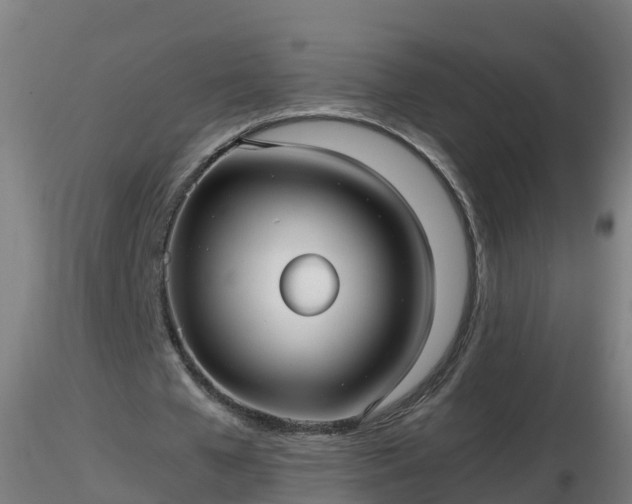 X0000116760577200912241144