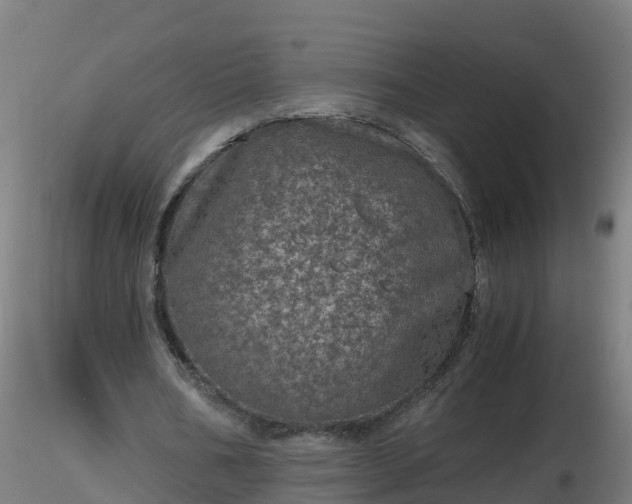 X0000116760578200912241144