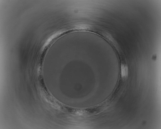 X0000116760579200912241144