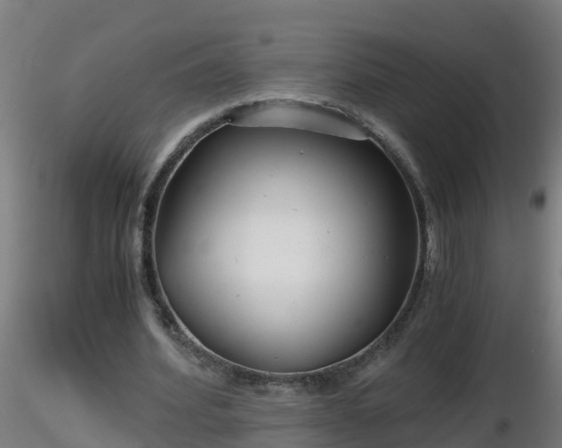 X0000116760580200912241144