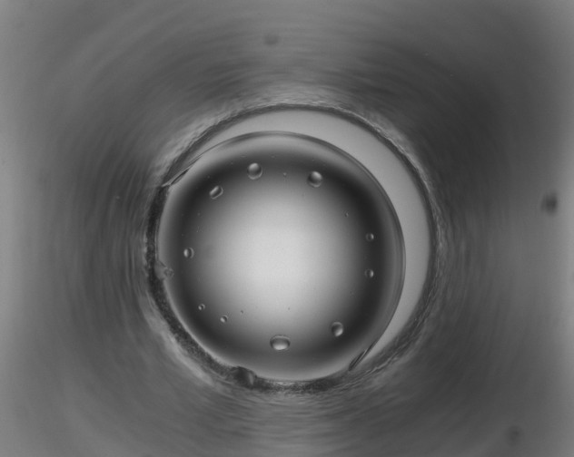 X0000116760581200912241144