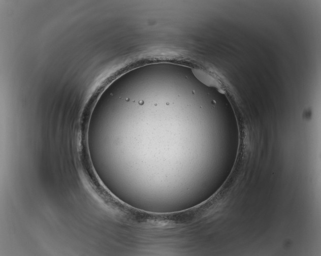 X0000116760582200912241144