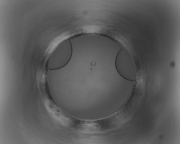 X0000116760583200912241144