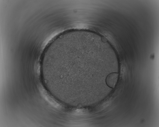 X0000116760584200912241144