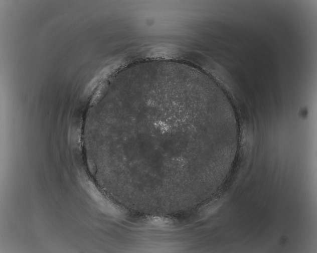 X0000116760585200912241144