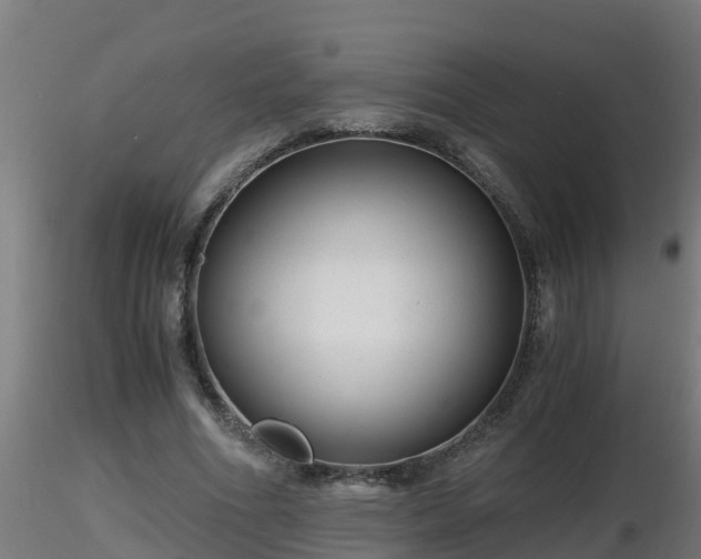 X0000116760586200912241144