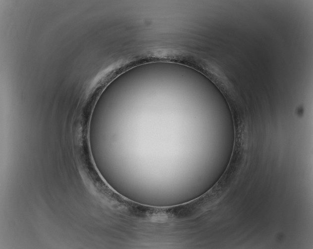 X0000116760587200912241144