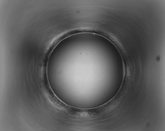 X0000116760588200912241144