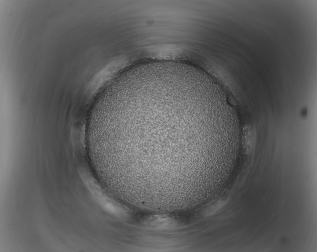 X0000116760589200912241144