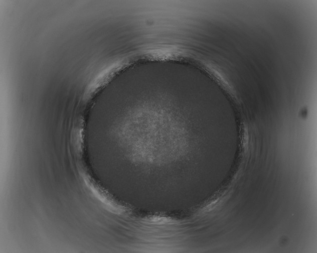 X0000116760590200912241144