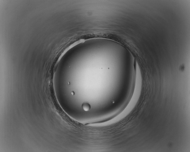X0000116760593200912241144