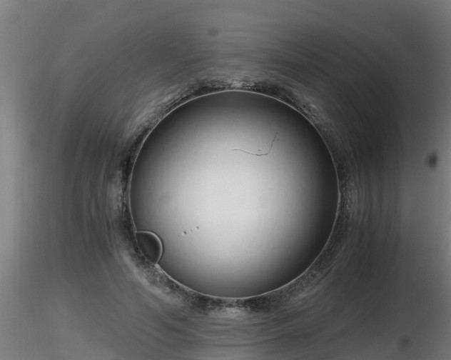 X0000116760594200912241144