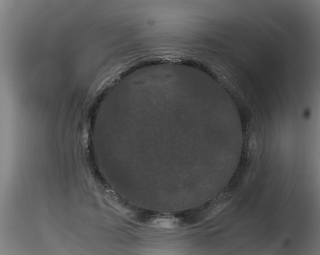 X0000116760595200912241144