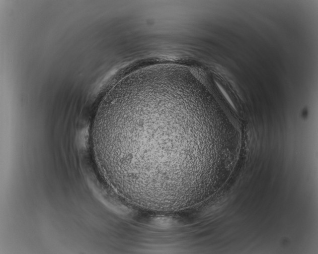 X0000116760596200912241144