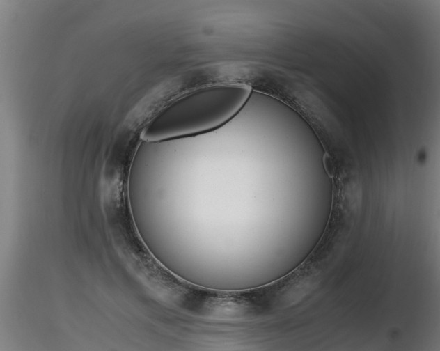 X0000116760597200912241144