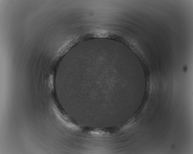 X0000116760598200912241144