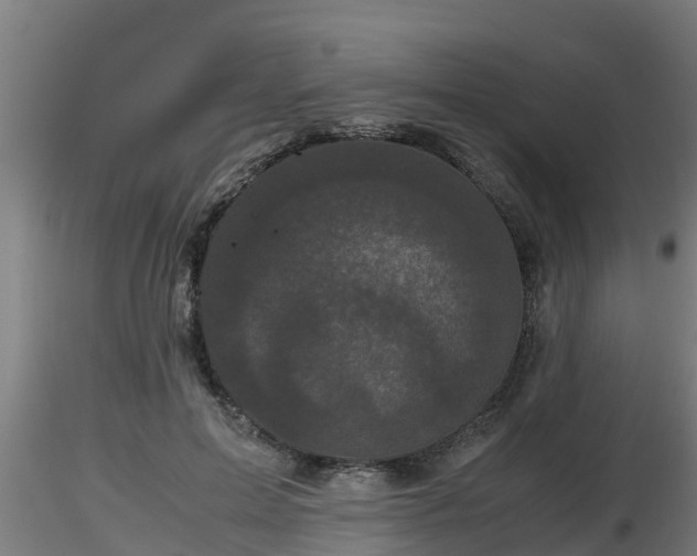 X0000116760599200912241144