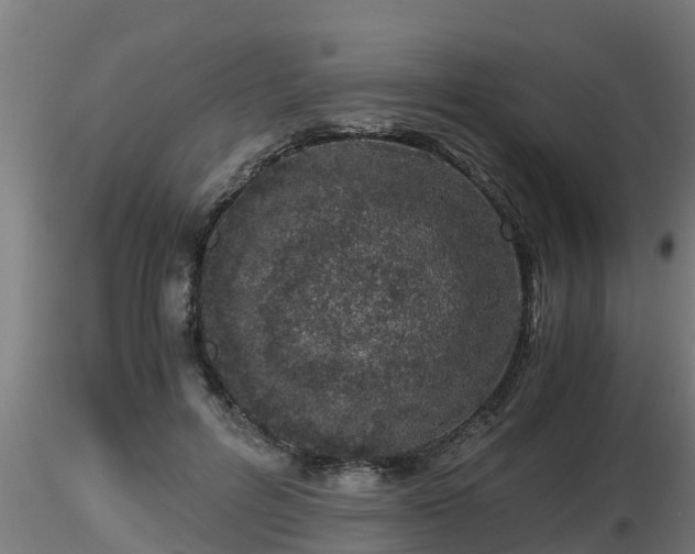 X0000116760600200912241144
