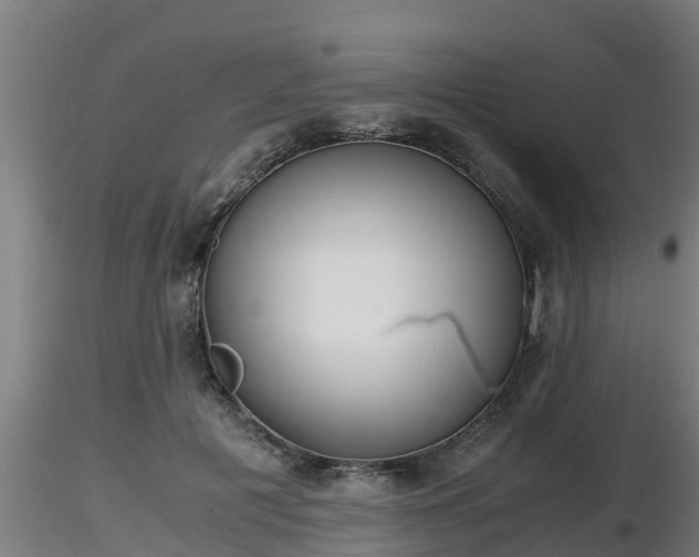 X0000116760601200912241144