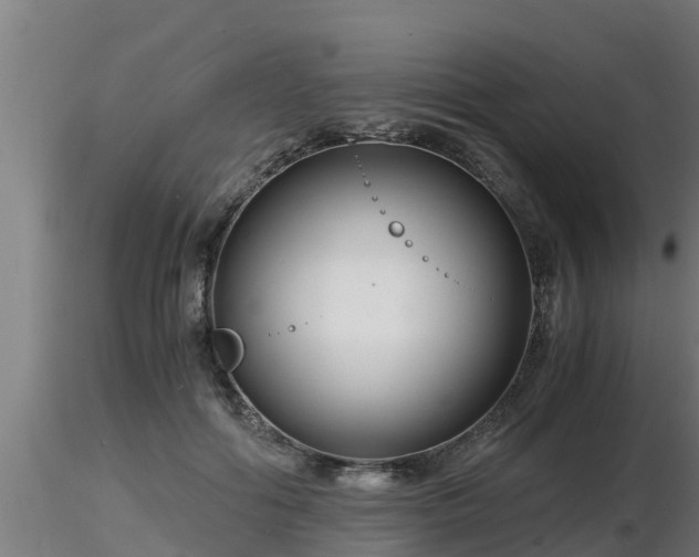X0000116760602200912241144
