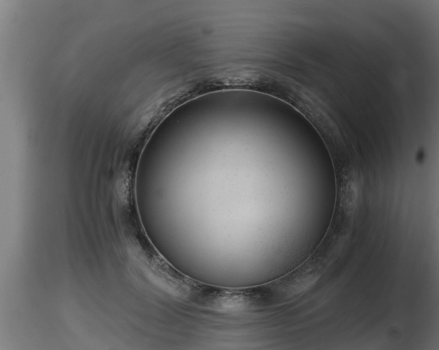 X0000116760604200912241144
