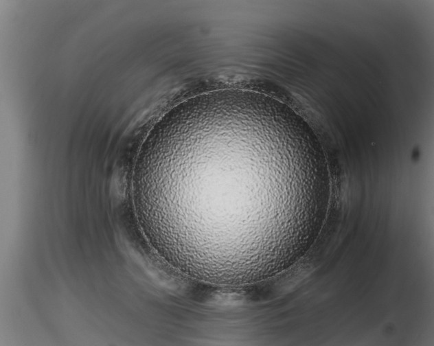 X0000116760606200912241144