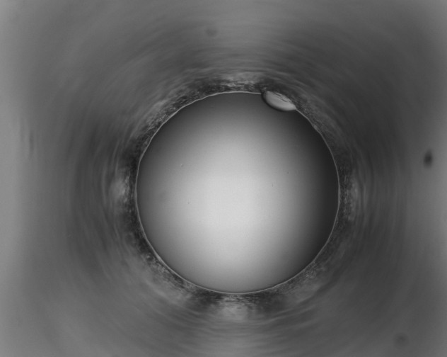 X0000116760608200912241144