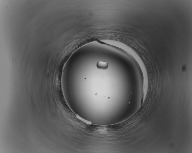 X0000116760611200912241144