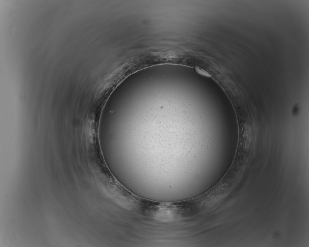 X0000116760612200912241144
