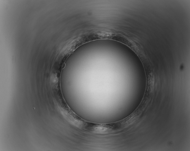 X0000116760614200912241144