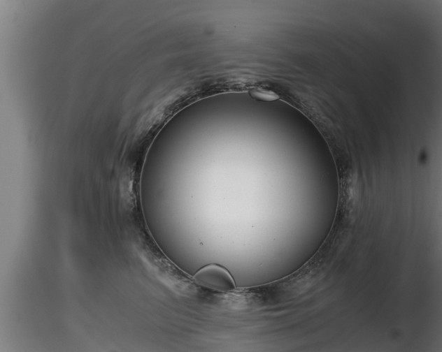X0000116760615200912241144